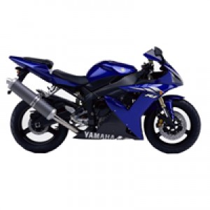 Erschwingliche 2002-2003 Yamaha R1 Verkleidung
