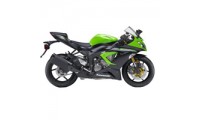 Erschwingliche 2013-2018 Kawasaki ZX6R Verkleidung