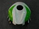 Grün Honda CBR 600 RR 07-08 Motorrad Verkleidungen Grün Honda CBR 600 RR 07-08 Motorrad Verkleidungen