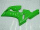 Grün Kawasaki ZX6R 05-06 Motorrad VollVerkleidungen & Plastik Grün Kawasaki ZX6R 05-06 Motorrad VollVerkleidungen & Plastik