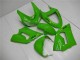 Grün Kawasaki ZX6R 05-06 Motorrad Vollverkleidung Grün Kawasaki ZX6R 05-06 Motorrad Vollverkleidung