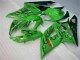 Grün Suzuki GSXR 1000 K5 05-06 Motorrad Verkleidungen Grün Suzuki GSXR 1000 K5 05-06 Motorrad Verkleidungen