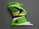 Grün Weiß Schwarz Ninja Kawasaki EX250 08-12 Motorrad Verkleidungen