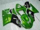 Grün Yamaha R1 00-01 Motorrad Verkleidungen Grün Yamaha R1 00-01 Motorrad Verkleidungen