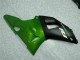Grün Yamaha R1 00-01 Motorrad Verkleidungen Grün Yamaha R1 00-01 Motorrad Verkleidungen