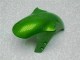 Grün Yamaha R1 00-01 Motorrad Verkleidungen Grün Yamaha R1 00-01 Motorrad Verkleidungen