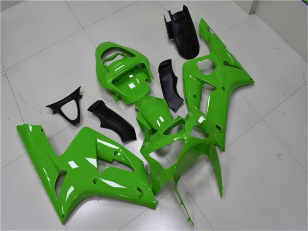 Erschwingliche Kawasaki ZX6R Motorrad Verkleidung 2003-2004 - Grun