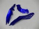 Erschwingliche Kawasaki Ninja 300 EX300R Motorrad Verkleidung 2013-2024 - Blau Schwarz Weiss Flamme