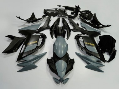 Erschwingliche Kawasaki Ninja 650 EX650 Motorrad Verkleidung 2020-2025 - Grau Schwarz Gold