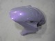 Erschwingliche Honda CBR1000RR Motorrad Verkleidung 2004-2005 - Chameleon Grau Dazz Perl Lila