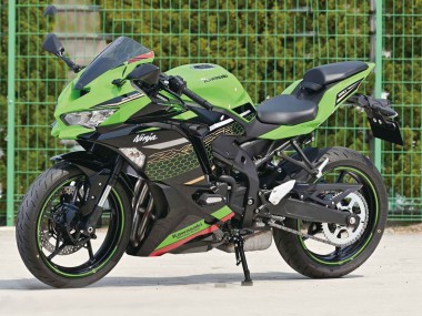 Erschwingliche Kawasaki ZX25R ZX-25R Motorrad Verkleidung 2019-2025 - Grun Schwarz Rot Bienenwabe