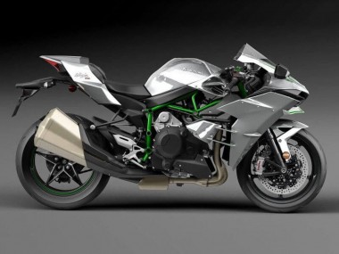 Erschwingliche Kawasaki Ninja H2 Motorrad Verkleidung 2015-2022 - Silber