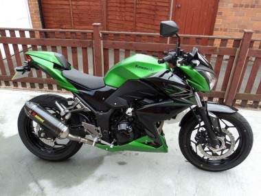 Erschwingliche Kawasaki Z250/Z300 Motorrad Verkleidung 2015-2016 - Grun Matt Schwarz