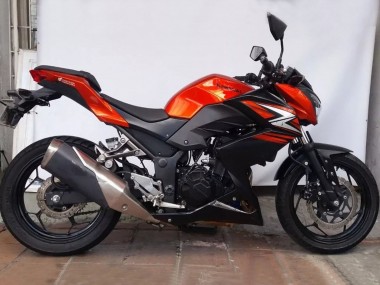 Erschwingliche Kawasaki Z250/Z300 Motorrad Verkleidung 2015-2016 - Orange Rot Matt Schwarz