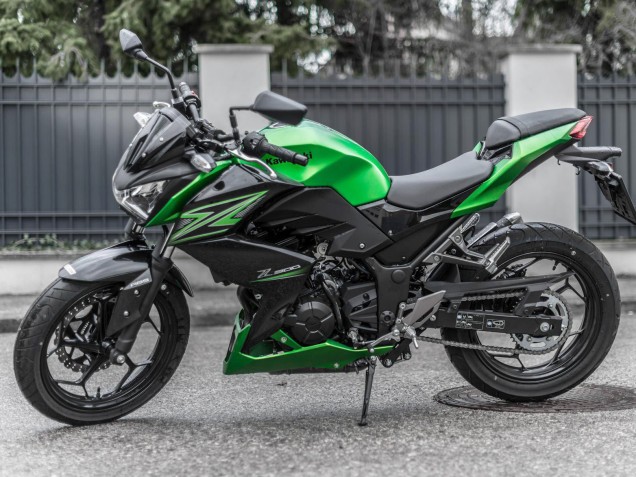Erschwingliche Kawasaki Z250/Z300 Motorrad Verkleidung Kit 2015-2016 - Grun Matt Schwarz