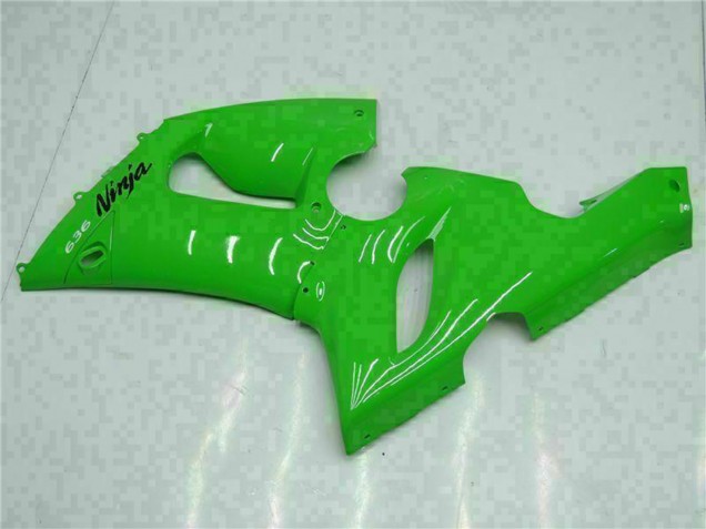 Erschwingliche Kawasaki ZX6R Motorrad Verkleidung 2005-2006 - Grun
