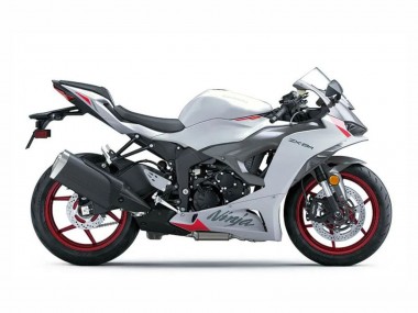Erschwingliche Kawasaki ZX6R Motorrad Verkleidung 2023-2025 - Perl Weiss Schwarz Rot