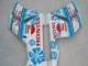 Erschwingliche Honda CBR1000RR Motorrad Verkleidung 2004-2005 - Weiss Blau Schnee Nastro Azzurro 46