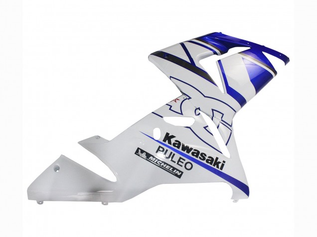 Erschwingliche Kawasaki ZX10R Motorrad Verkleidung 2004-2005 - Schwarz Weiss