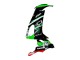 Erschwingliche Kawasaki ZX10R Motorrad Verkleidung 2008-2010 - Grun Weiss Rot Schwarz Monster Elf 66