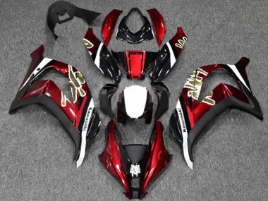 Erschwingliche Kawasaki ZX10R Motorrad Verkleidung 2016-2020 - Rot Glanzendes Schwarz Weiss