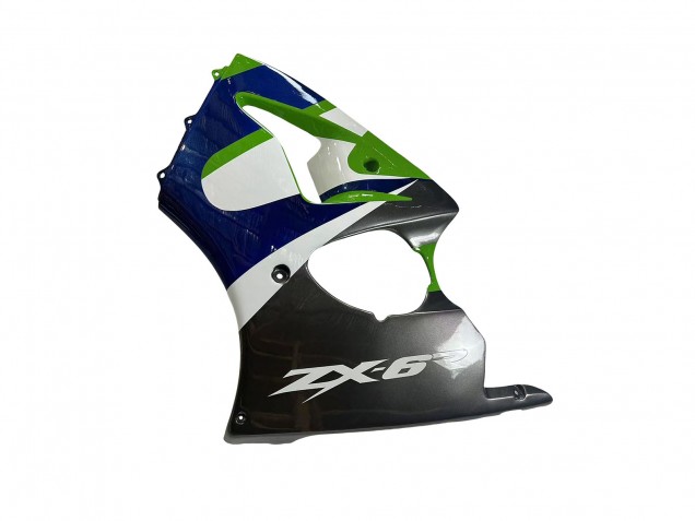 Erschwingliche Kawasaki ZX6R Motorrad Verkleidung 1998-1999 - Grun Weiss Blau Silber Glanzendes Schwarz