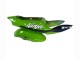 Erschwingliche Kawasaki ZX6R Motorrad Verkleidung 1998-1999 - Grun Weiss Blau Silber Glanzendes Schwarz