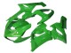 Erschwingliche Kawasaki ZX6R Motorrad Verkleidung 2005-2006 - Grun
