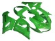 Erschwingliche Kawasaki ZX6R Motorrad Verkleidung 2005-2006 - Grun