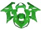 Erschwingliche Kawasaki ZX6R Motorrad Verkleidung 2005-2006 - Grun