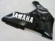 Erschwingliche Yamaha YZF 1000 R1 Motorrad Verkleidung 2000-2001 - Glanzendes Schwarz Weiss Aufkleber