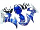 Erschwingliche Yamaha YZF R6S Motorrad Verkleidung 2006-2009 - Weiss Blau Fiat Motul Kastinee