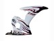 Erschwingliche Yamaha YZF R6S Motorrad Verkleidung 2006-2009 - Weiss mit Dunkel Schwarz Flamme