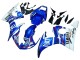 Erschwingliche Yamaha YZF 600 R6 Motorrad Verkleidung 2005 - Blau Weiss Rot Motul Michelin Fiat