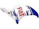 Erschwingliche Yamaha YZF 600 R6 Motorrad Verkleidung 2005 - Weiss Blau Dunlop Fiat Motul