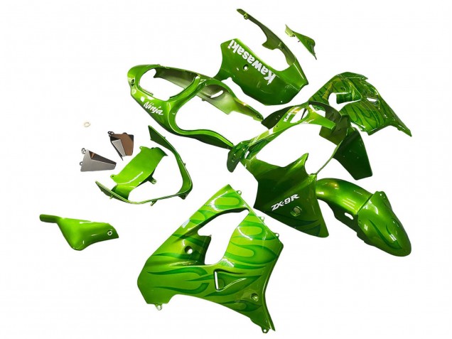 Erschwingliche Kawasaki ZX9R Motorrad Verkleidung 2000-2001 - Grun Flamme