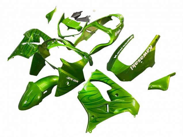 Erschwingliche Kawasaki ZX9R Motorrad Verkleidung 2000-2001 - Grun Flamme