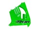 Erschwingliche Kawasaki ZX9R Motorrad Verkleidung 2000-2001 - Grun