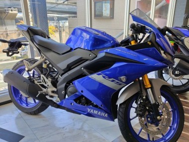 Erschwingliche Yamaha YZF R15 Motorrad Verkleidung 2018-2024 - Blau Grau