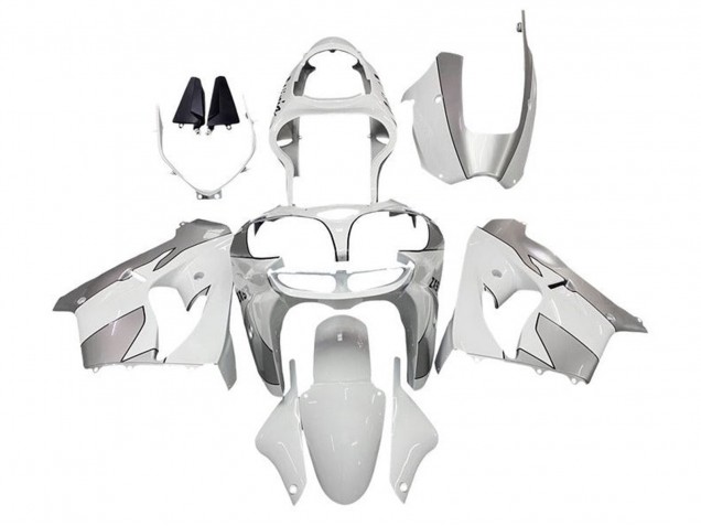 Erschwingliche Kawasaki ZX9R Motorrad Verkleidung 2002-2003 - Weiss Silber