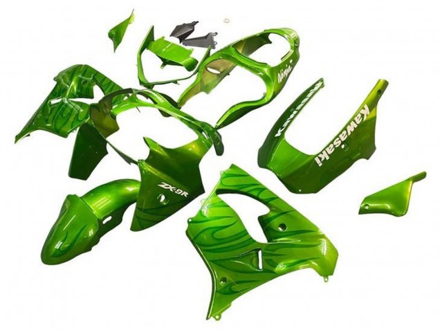 Erschwingliche Kawasaki ZX9R Motorrad Verkleidung 2002-2003 - Grun Flamme
