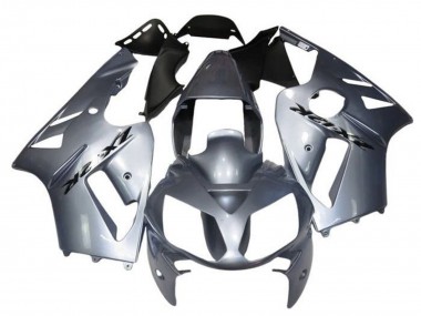Erschwingliche Kawasaki ZX12R Motorrad Verkleidung 2000-2001 - Silber