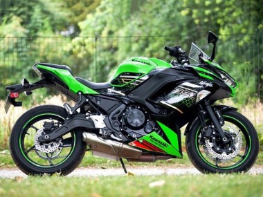 Erschwingliche Kawasaki Ninja 650 EX650 Motorrad Verkleidung 2020-2025 - Grun Schwarz Rot Bienenwabe