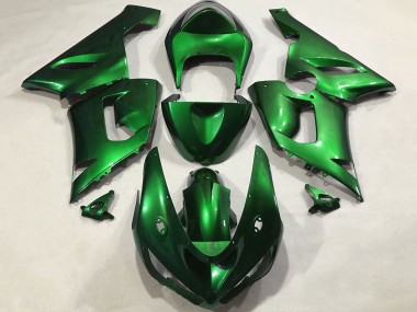 Erschwingliche Kawasaki ZX6R Motorrad Verkleidung 2005-2006 - Bonbon Grun