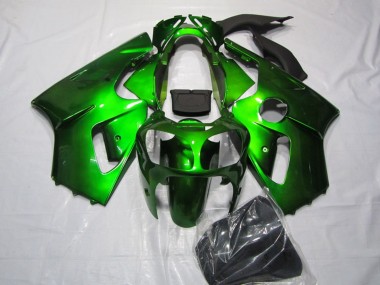 Erschwingliche Kawasaki ZX12R Motorrad Verkleidung 2002-2006 - Grun