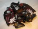 Schwarz rote Flamme Suzuki GSXR 1300 Hayabusa 96-07 Motorrad Verkleidung Schwarz rote Flamme Suzuki GSXR 1300 Hayabusa 96-07 Motorrad Verkleidung