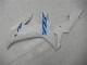 Weiß Yamaha R1 02-03 Motorrad Verkleidungen & Plastik